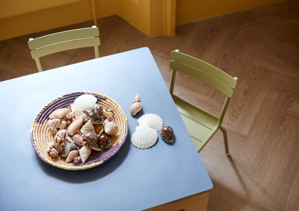 shells in a basket and on a table