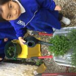 a child watering plants