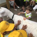 children touching a goat